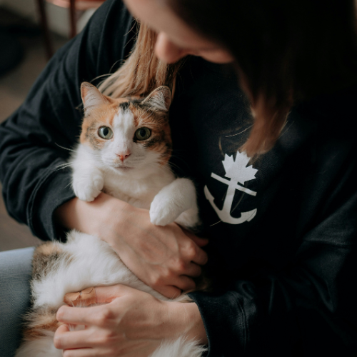 Door: Leven met Kat